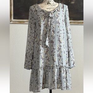 Entro Size Small Blue Gray Floral Long Sleeve Chiffon Shift Dress
